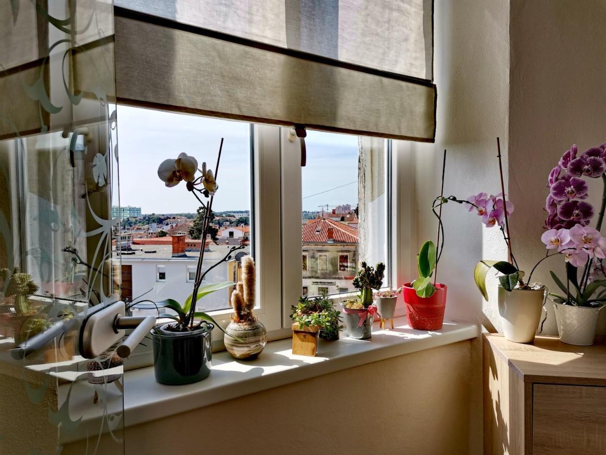 Apartment Andreas - Amphitheater - Pula